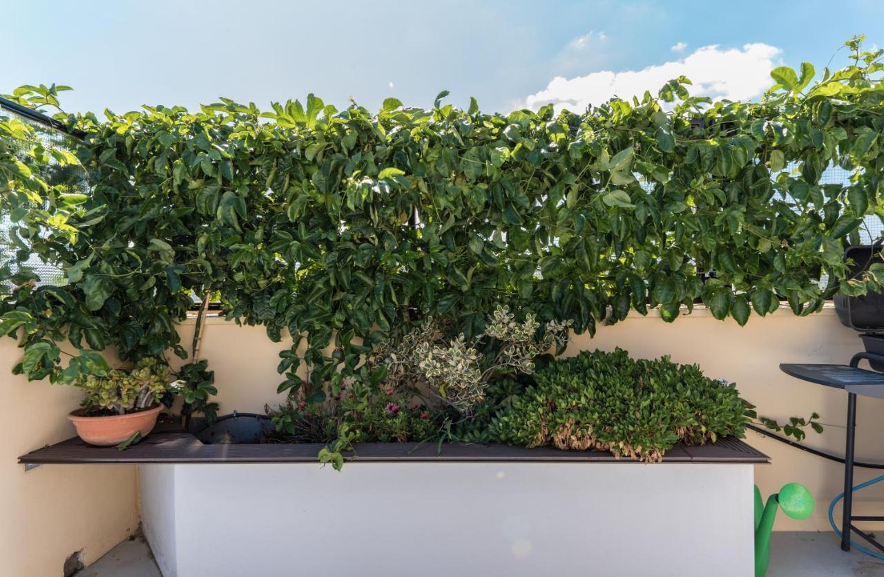 Casa Colibri - Solemar Sicilia Apartment Santa Flavia Ngoại thất bức ảnh